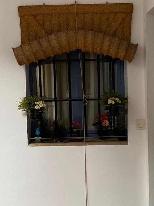 Hispalis Casa Pilatos Seville Ngoại thất bức ảnh