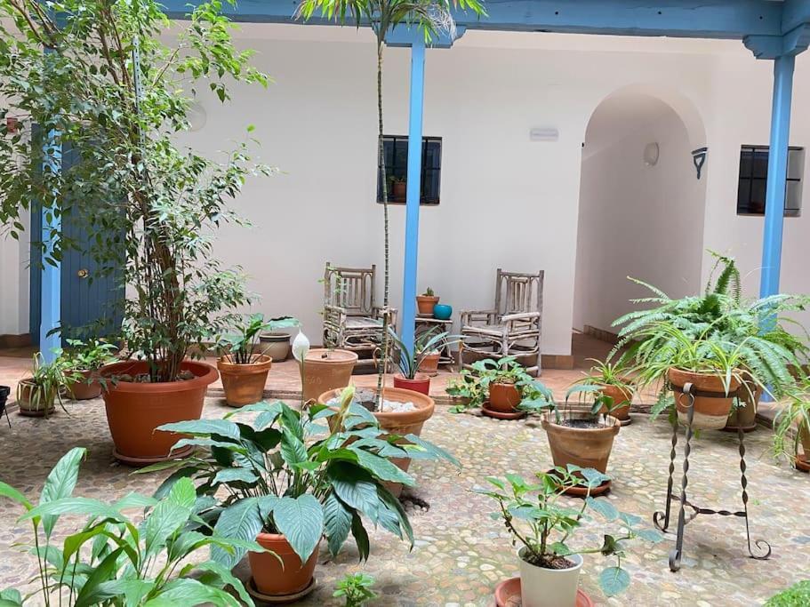 Hispalis Casa Pilatos Seville Ngoại thất bức ảnh